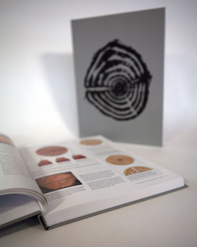 Book - Cut & Dried: A Woodworker’s Guide to Timber Technology by Richard Jones