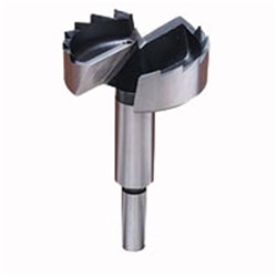 Carbatec Sawtooth Bit - 2"