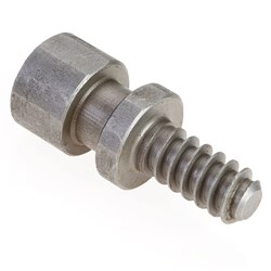 Nova Woodworm Screw