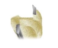 Arden Pattern Bit with Bearing - 15.9mm Diameter 19mm Cut Depth