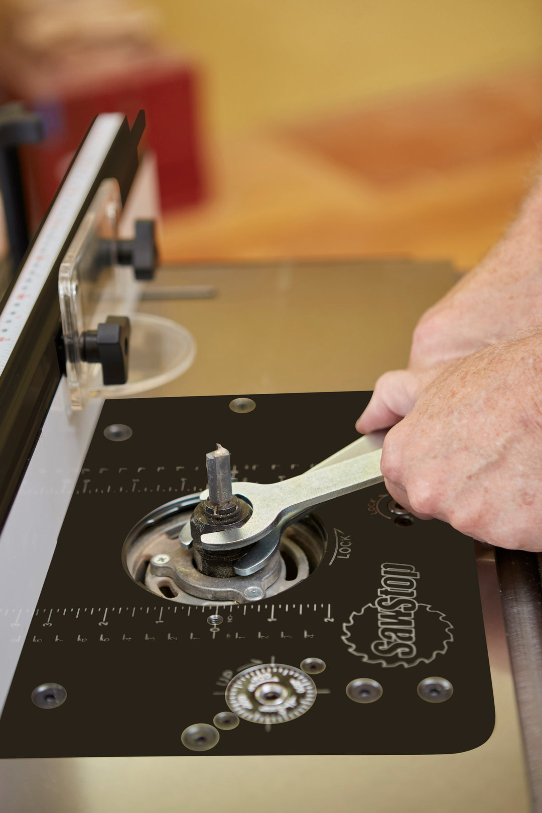 Buy SawStop Router Lift - suit fixed base routers by SAWSTOP online ...