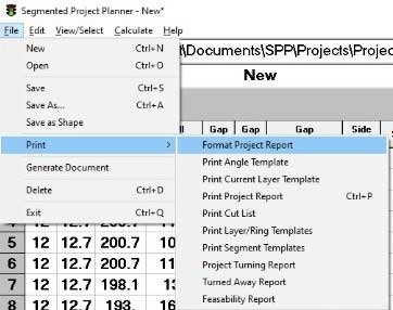 Basics in Designing a Segmented Bowl Format Project Report