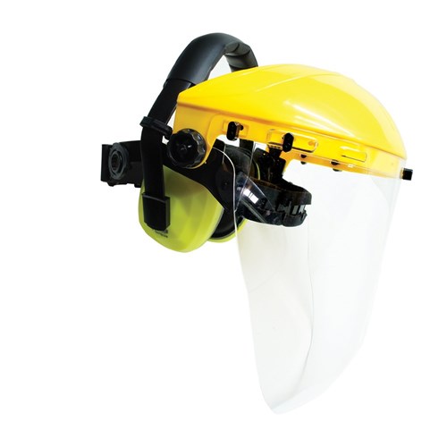 face shield